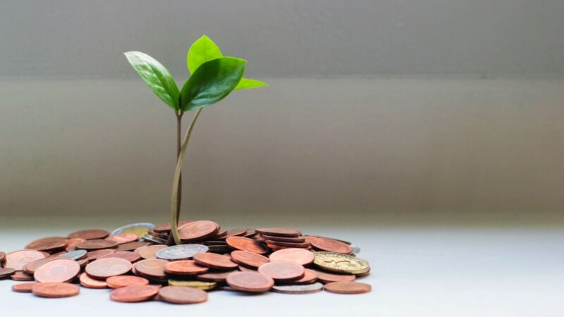 Kebebasan finansial